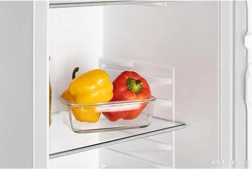 Однокамерный холодильник Nordfrost RFS-110-Q W