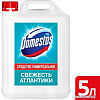 Универсальное средство Domestos Свежесть Атлантики 5 л