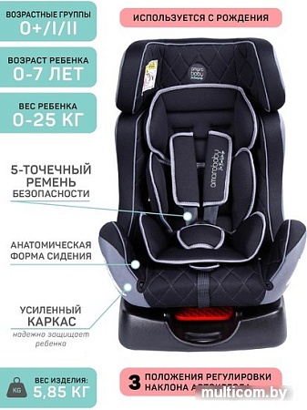 Детское автокресло Amarobaby Professional (черный/серый)