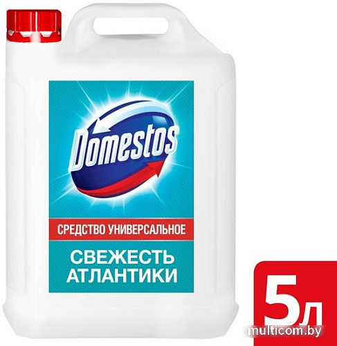 Универсальное средство Domestos Свежесть Атлантики 5 л