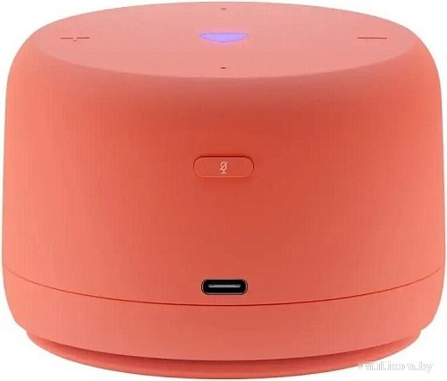 Умная колонка Яндекс Станция Лайт 2 без часов (коралловый)