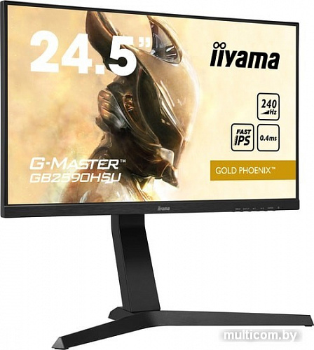 Монитор Iiyama G-Master GB2590HSU-B1