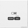 Розетка Type-C Systeme Electric ArtGallery GAL000127