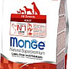 Сухой корм для собак Monge Speciality Adult All Breeds Lamb&amp;Rice (2.5 кг)