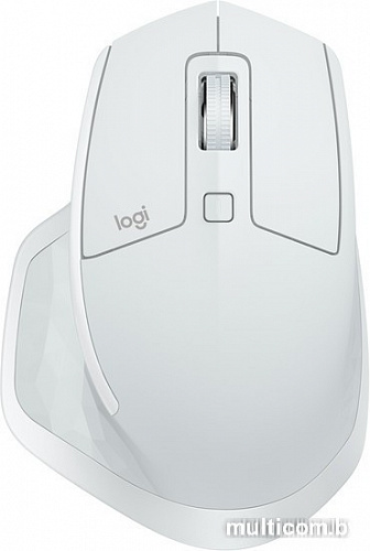 Мышь Logitech MX Master 2S (светло-серый) [910-005141]