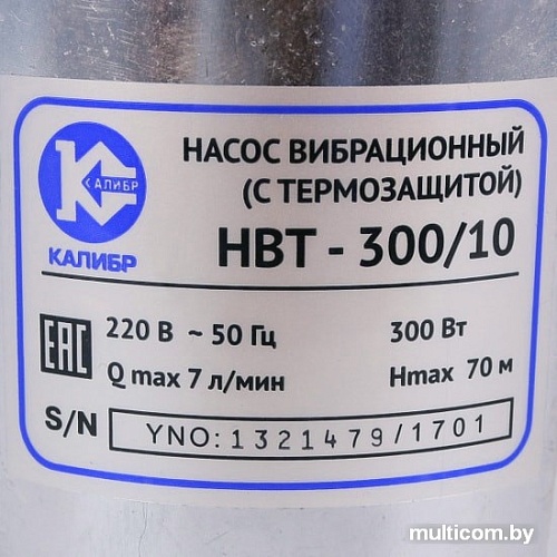 Насос Калибр НВТ-300/10