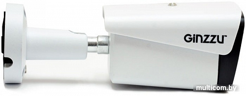 IP-камера Ginzzu HIB-2301A