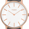 Наручные часы Timex TW2T45400