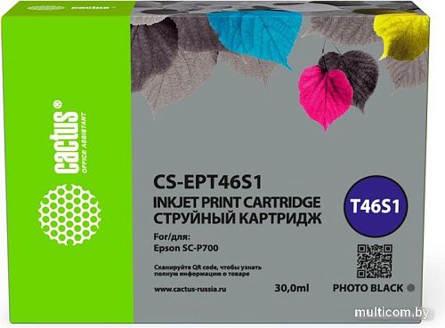 Картридж CACTUS CS-EPT46S1 (аналог Epson EPT46S1)