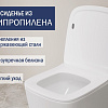 Унитаз напольный Lauter W09 S-TRAP с полипропиленовым сиденьем и микролифтом 21900003 (вертикальный выпуск)