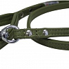 Angel Pet Alpine 40024/AG (зеленый)