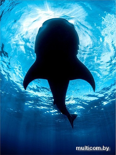 Картина Woodary 3020