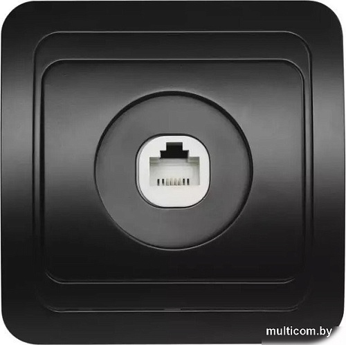 Розетка телефонная SmartBuy SBE-02b-S1-PH