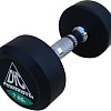 Гантели DFC Powergym DB002-7