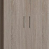Шкаф распашной Макс Стайл Falcon Fidji Egger 240x100x50 20C5050 (дуб бардолино натуральный Н1145 ST10)