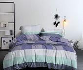 Постельное белье Pandora № 11308 (S/P) Евро-стандарт (полисатин)