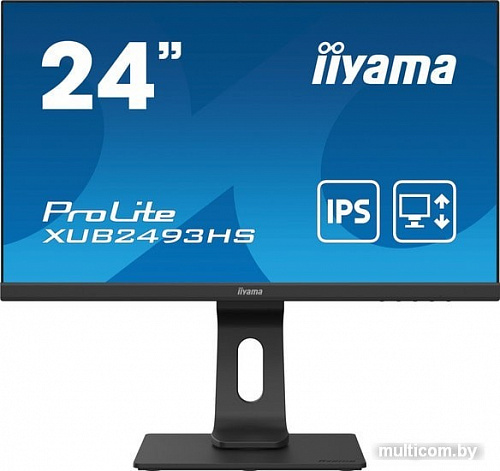 Монитор Iiyama ProLite XUB2493HS-B4