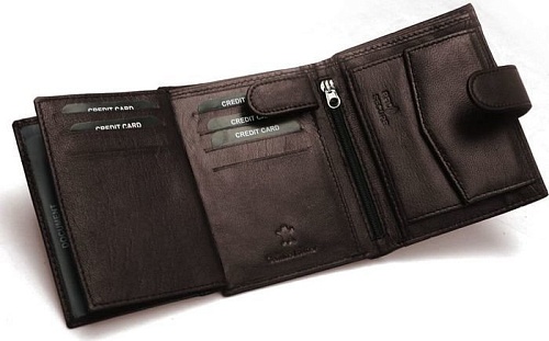 Кошелек Sanchez Casual AM-102R-123A (коричневый)