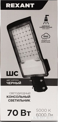 Садовый светильник Rexant ДКУ-01 607-305