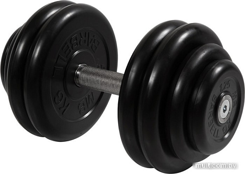Гантели MB Barbell Профи 28.5 кг (вращающаяся ручка)