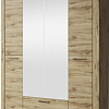Шкаф распашной Anrex Doorset 4DG2S Z (дуб наварра)