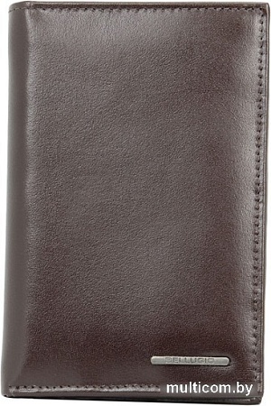 Кошелек Bellugio AM-21R-143 (коричневый)