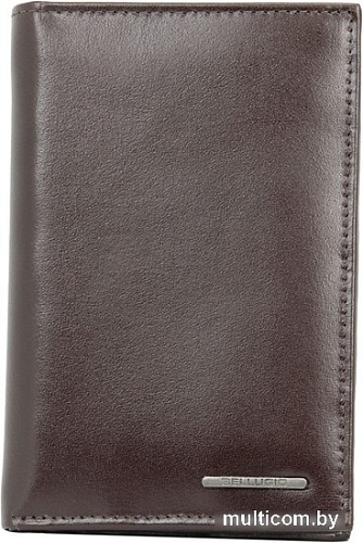 Кошелек Bellugio AM-21R-143 (коричневый)