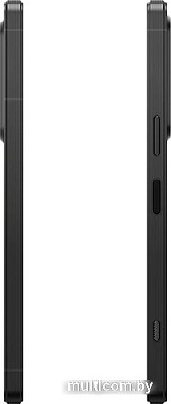 Смартфон Sony Xperia 1 V XQ-DQ72 12GB/512GB (черный)