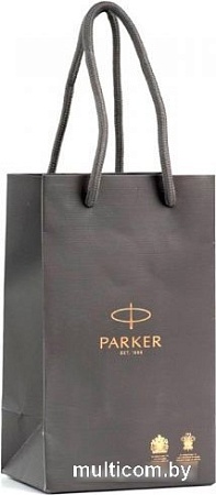 Ручка перьевая Parker 51 Core Black CT 2123491