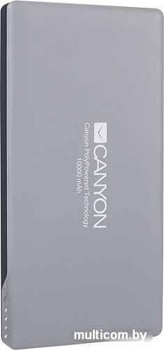 Портативное зарядное устройство Canyon CNS-TPBP10DG