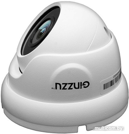 IP-камера Ginzzu HID-5302A