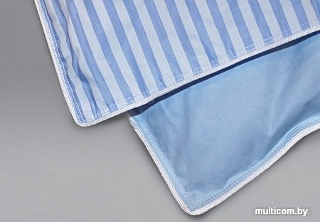 Одеяло Kariguz Классика КЛ21-7-3 (200x220 см)