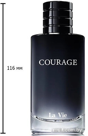 Dilis Parfum Courage EdP (100 мл)
