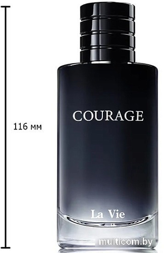 Dilis Parfum Courage EdP (100 мл)