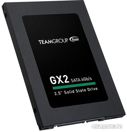 SSD Team GX2 256GB T253X2256G0C101