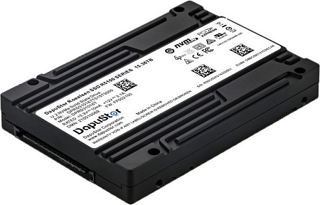 SSD DapuStor Roealsen5 R5101 3.84TB