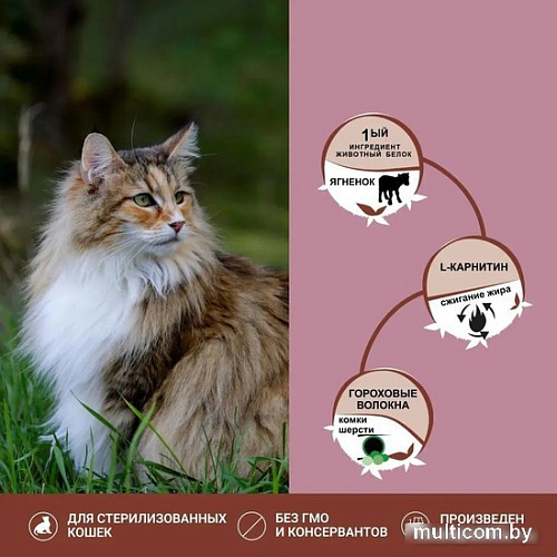 Сухой корм для кошек Unica Classe Lovely Care Condition Adult Sterilized Luxury Hairball Lamb (для здоровья шерсти с ягненком) 300 г