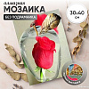 Solmax&amp;Creators Красная роза CP54076