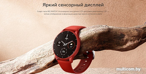 Умные часы BQ-Mobile Watch 1.4 (темно-серый)