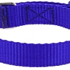 Ошейник Каскад 00212520-06 (нейлон, синий)
