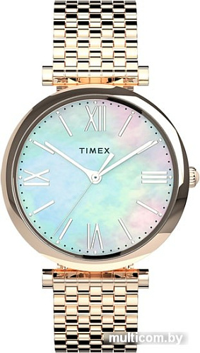 Наручные часы Timex TW2T79200