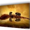 Картина Stamprint Солнечные слоны AM002 (60x85)