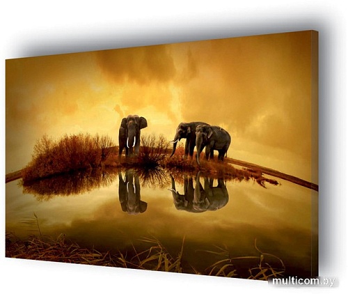 Картина Stamprint Солнечные слоны AM002 (60x85)