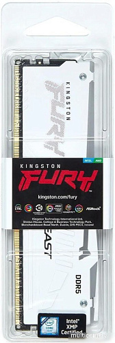 Kingston FURY Beast RGB 16ГБ DDR5 5600 МГц KF556C40BWA-16