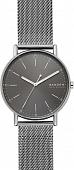 Наручные часы Skagen SKW6577