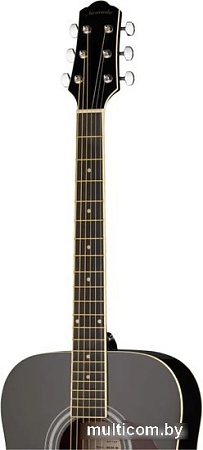 Акустическая гитара Naranda DG120BK