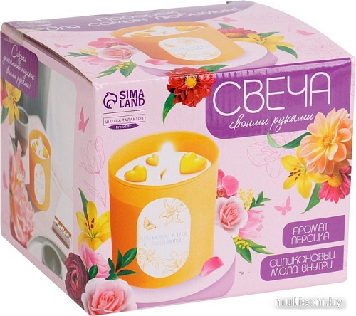 Набор для изготовления свечей Школа талантов С формовыми элементами 10092826