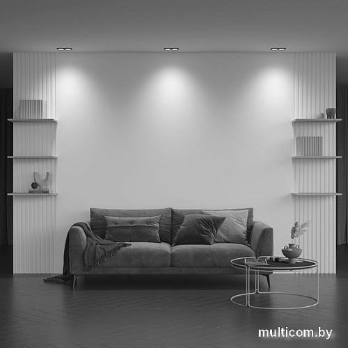 Точечный светильник Maytoni Zoom DL033-2-02B