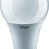 Светодиодная лампочка Navigator NLLB-A70-20-230-6.5K-E27