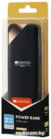 Портативное зарядное устройство Canyon CNE-CPBP5B